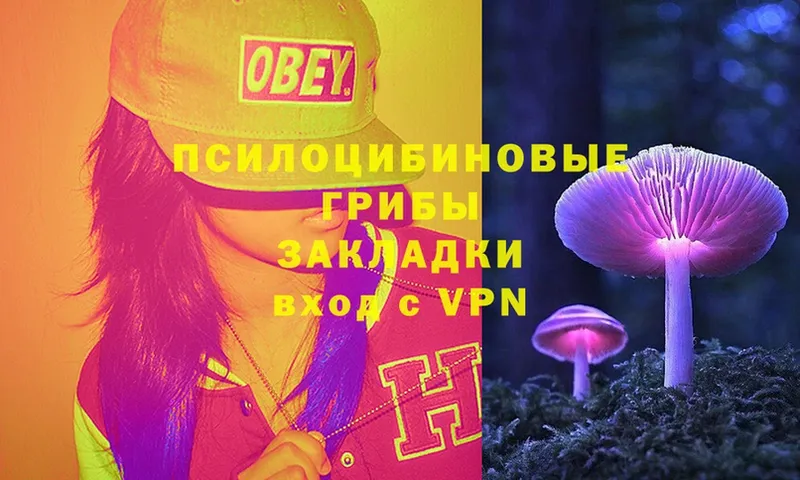 Галлюциногенные грибы Magic Shrooms  Козловка 